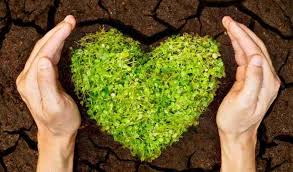 16/12/20 -  AGGIORNAMENTO: ESONERO CONTRIBUTI AGRICOLI  I° semestre 2020 - art. 222, c.2 D.L. 34-2020